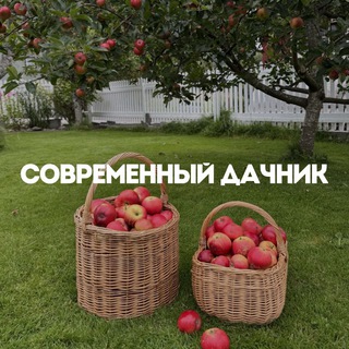 Telegram profile photo for Современный дачник