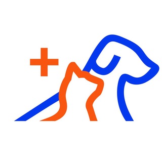 Telegram profile photo for AniMall