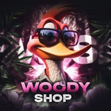 Telegram profile photo for WS Project News