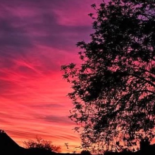 Telegram group profile photo for World Skies !!!!
