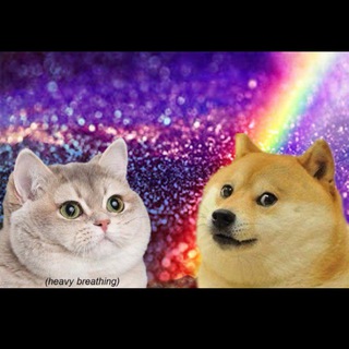 Telegram profile photo for DOGEMEOW
