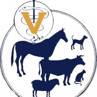 Telegram profile photo for КГБУ"СПАССКАЯ ВСББЖ"
