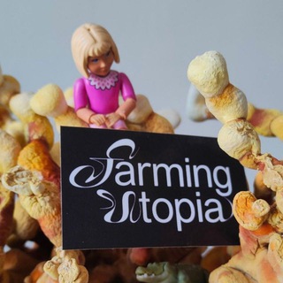 Telegram profile photo for farming utopia