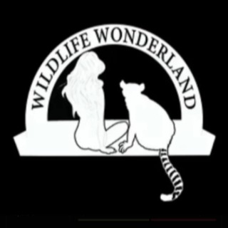 Telegram group profile photo for WildlifeWonderlandCTO