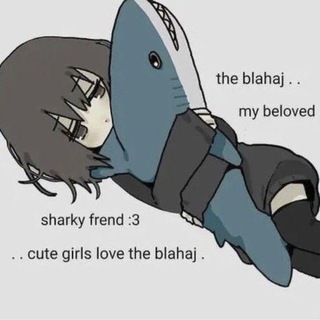 Telegram profile photo for kita posted something