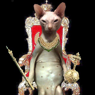 Telegram profile photo for Тридесятое царство