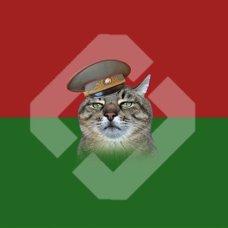 Telegram profile photo for Белмемнадзор