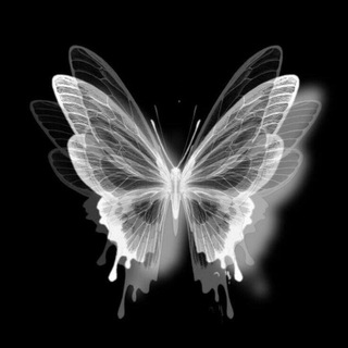 Telegram profile photo for - ππ.sα΄ΙͺΚΚ ΰ½Όπͺ½