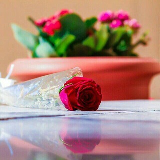 Telegram profile photo for أحــساس قــلبي