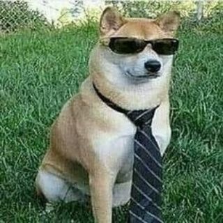 Telegram profile photo for Humor y Pasatiempos