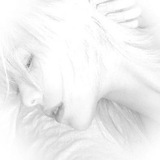 Telegram profile photo for soft wings!