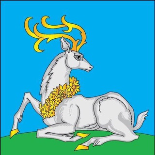Telegram profile photo for Подслушано Одинцово
