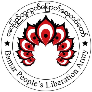 Telegram profile photo for BPLA