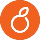 Telegram profile photo for نارنج