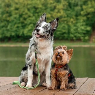 Telegram profile photo for Y.Roy&BC.Basty