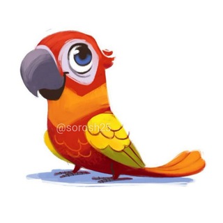 Telegram profile photo for کانون بازتاب مشکلات پرندگان