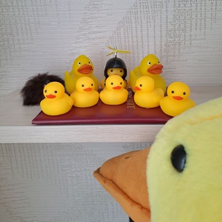 Telegram profile photo for Макс сливает олимпы
