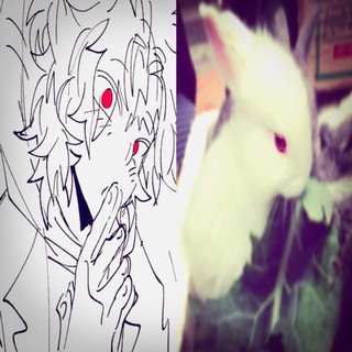 Telegram profile photo for ◟ ✚ 𝖠ƙꪱᜒʑ 𝖲ო ⿻ ƙꪱᜒ𐓣𝗀 𝗋𝗈𝗈ო : 👾