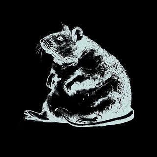 Telegram profile photo for Rotting Meat