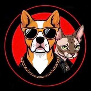 Telegram profile photo for Маффин Грум| Пушистые записки 🐶🐱