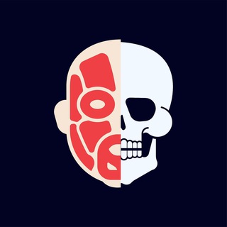 Telegram profile photo for Анатомия | Карманный атлас