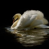 Telegram profile photo for مَـرسى