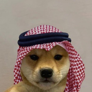 Telegram profile photo for Ram's Moonshots