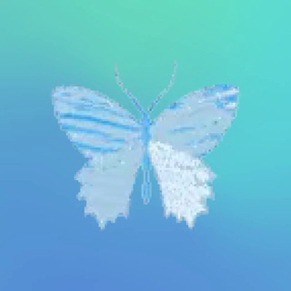 Telegram profile photo for Sani Winners π¦π
