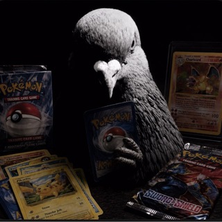 Telegram profile photo for Sigeon Pex Tcg