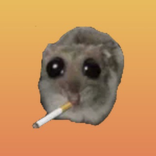 Telegram profile photo for NSK TECH