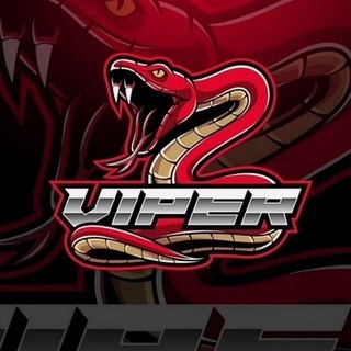 Telegram profile photo for 毒蛇代理频道