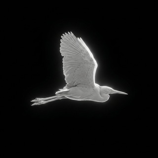 Telegram profile photo for 𝗖 𝗖 𝟱 𝟬 𝗜 𝗩