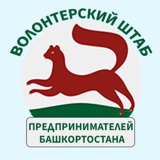 Telegram profile photo for ВОЛОНТЕРСКИЙ ШТАБ ПРЕДПРИНИМАТЕЛЕЙ БАШКОРТОСТАНА