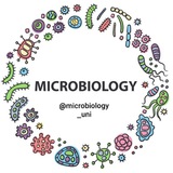 Telegram profile photo for MicroBiology(Qods)