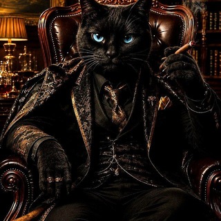 Telegram profile photo for CATDONY🫧