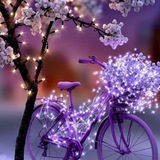 Telegram profile photo for لـ طـنآخهہ