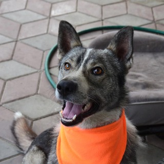 Telegram profile photo for подмыхи