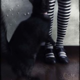 Telegram profile photo for suicide