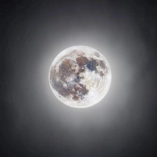 Telegram profile photo for عقارات أملج