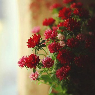 Telegram profile photo for || ذنـبٌ مُـسـتَقيـم🌸")