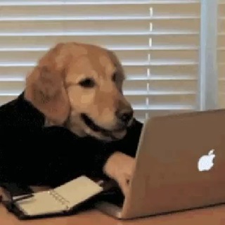 Telegram profile photo for собаки батрачат на удаленке