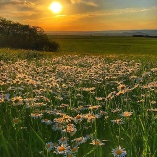 Telegram profile photo for ведем отсчет | переходник