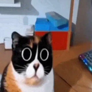 Telegram profile photo for чамность