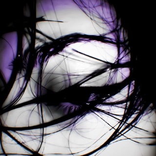 Telegram profile photo for stormyhall