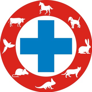 Telegram profile photo for Вет Юг
