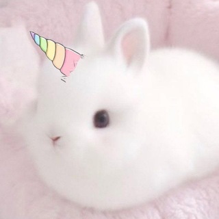 Telegram profile photo for 𝐿𝑒𝑠𝑠𝑙𝑒𝑦