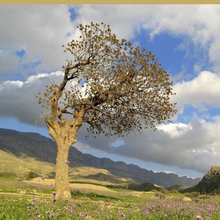 Telegram profile photo for جغرافیای طبیعی کازرون