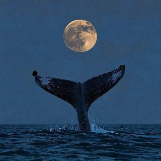 Telegram profile photo for "Night watchman"