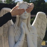 Telegram profile photo for سی بِمُل؛