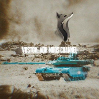 Telegram profile photo for VOSTOK I Mods AoH2